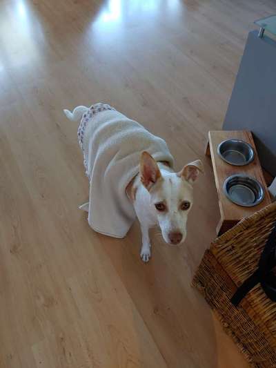 Pullis, Jacken, Hütte und alles sonstiges-Beitrag-Bild