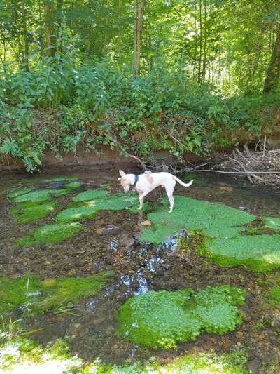 Foto Challenge - BEENDET - bitte aktuelle Challenge nutzen-Beitrag-Bild