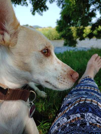 42.Fotochallenge - Eure schönen Momente beim Spaziergang-Beitrag-Bild