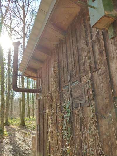 Die wunderschöne Welt mit Hund.-Beitrag-Bild