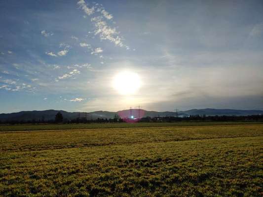 Die wunderschöne Welt mit Hund.-Beitrag-Bild