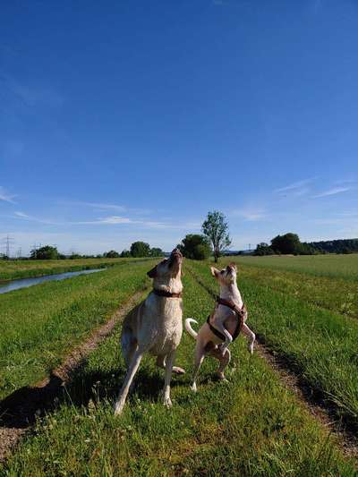 Foto Challenge Nr.: 115-Beitrag-Bild