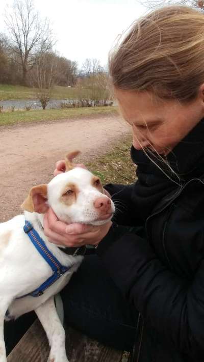 Das erste Foto-Beitrag-Bild