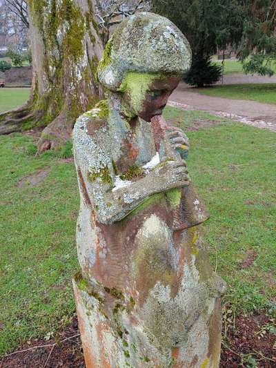 Die wunderschöne Welt mit Hund.-Beitrag-Bild