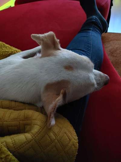 Blick fürs Detail!-Beitrag-Bild