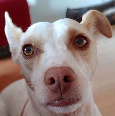 Fotochallange Nr. 57     PORTRÄT.   Beendet!!!!!!!!-Beitrag-Bild