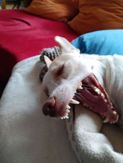 Un...scharf Bilder-Beitrag-Bild