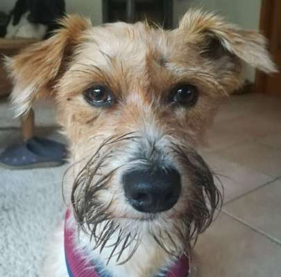 Zeigt mir die tollste Nahaufnahme von eurer Fellnase-Beitrag-Bild