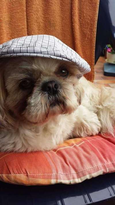 Lieblings Schnappschuss?-Beitrag-Bild