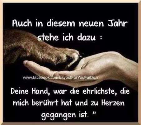 Windhunde - Treffen der besonderen Schönheiten
HERZLICH WILLKOMMEN-Beitrag-Bild