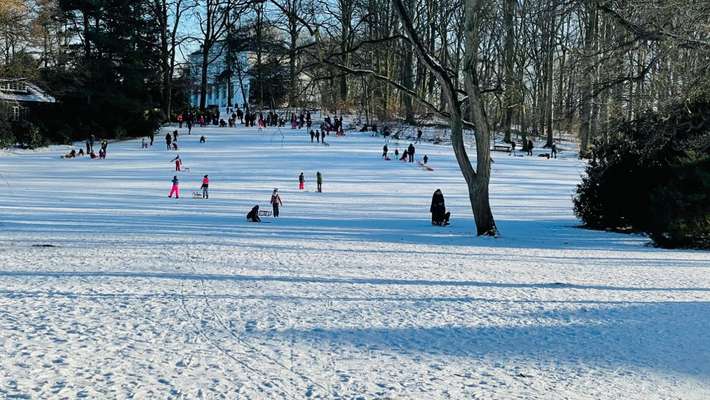 Hundeauslaufgebiet-Gosslers Park-Bild