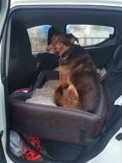 Erfahrungen mit Vomex A bei Reiseübelkeit-Beitrag-Bild