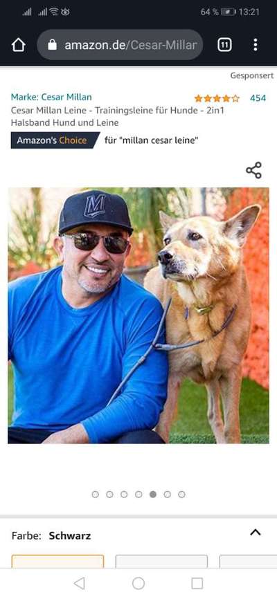 Cesar Milan - Pro und Contra-Beitrag-Bild