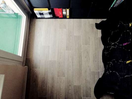 Black dogs are beautiful-Beitrag-Bild