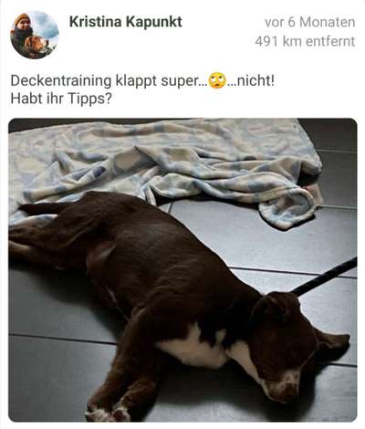 Deckentraining klappt nicht-Beitrag-Bild