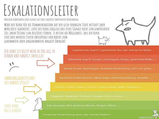 Die Eskalationsleiter-Beitrag-Bild