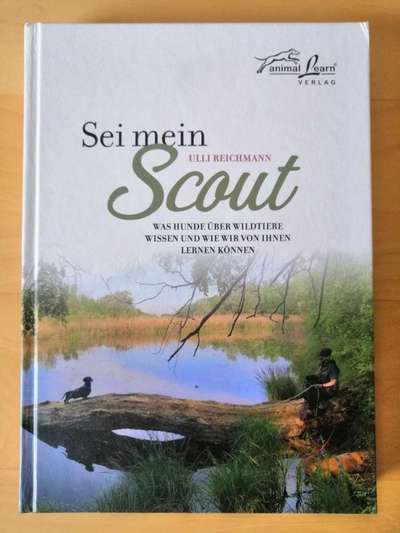 "Wege zur Freundschaft" (Ulli Reichmann)-Beitrag-Bild