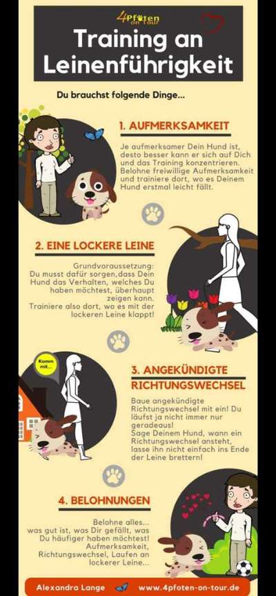 Hunde unterordnung-Beitrag-Bild