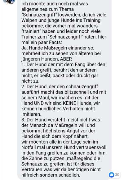 mein hund beißt-Beitrag-Bild