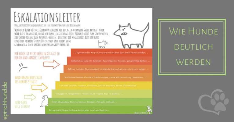 Analyse & Interpretation von Verhalten-Beitrag-Bild
