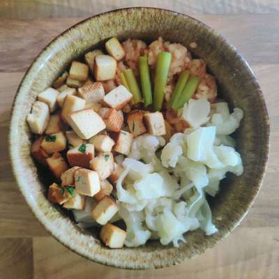 Zeigt her Eure Futternäpfe-Beitrag-Bild