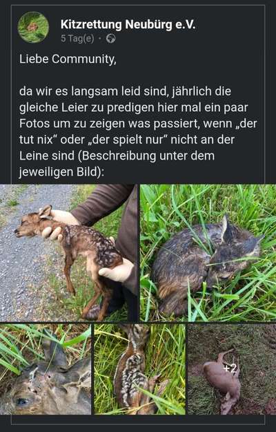 Brut und Setzzeit-Beitrag-Bild