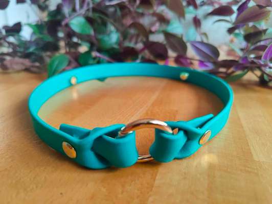 Zeckenhalsbänder und Kinder im Haushalt-Beitrag-Bild