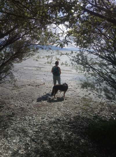 Dogorama Photo Challenge - Tierischer Urlaub-Beitrag-Bild