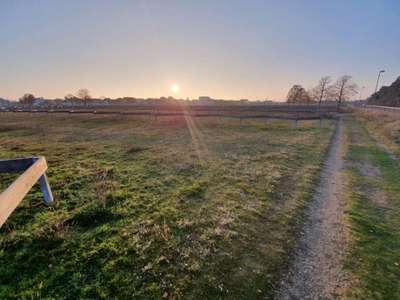 Hundeauslaufgebiet-Parkplätze-Bild