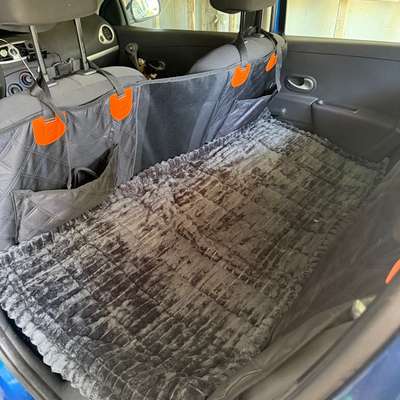 Sicherheitsgeschirr fürs Auto-Beitrag-Bild