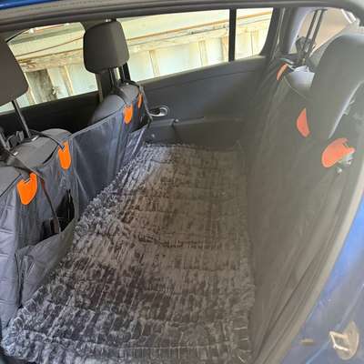 Sicherheitsgeschirr fürs Auto-Beitrag-Bild