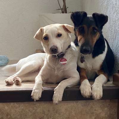 Fotochallange Nr. 57     PORTRÄT.   Beendet!!!!!!!!-Beitrag-Bild