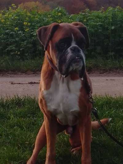 Wann ist es Zeit, sich zu verabschieden?-Beitrag-Bild