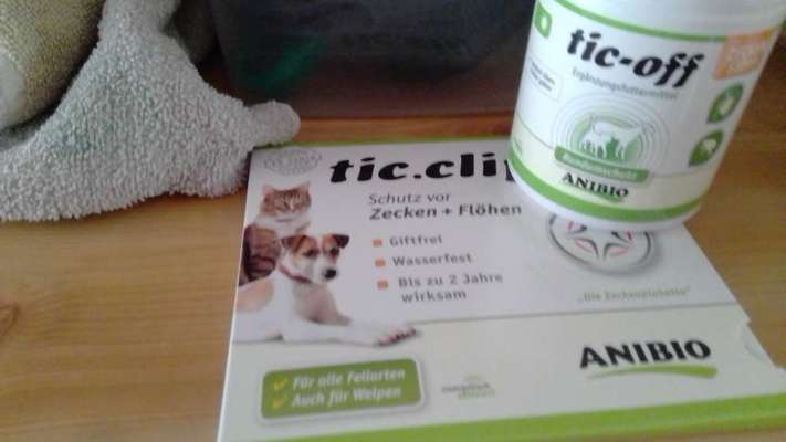 Floh und Zeckenmittel-Beitrag-Bild