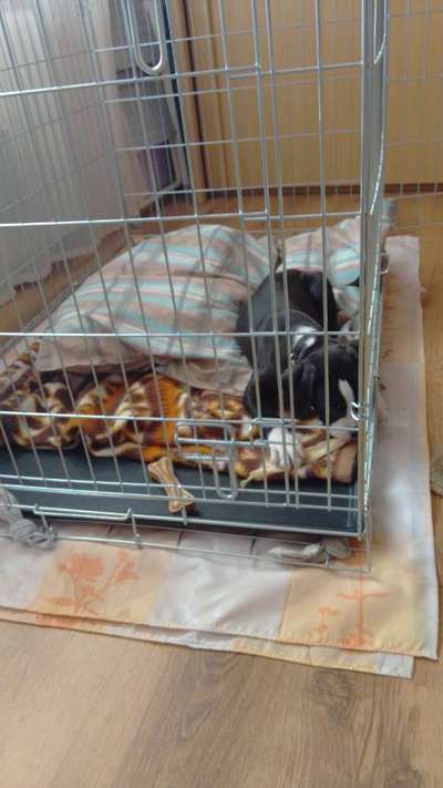 Splitterfrei-Beitrag-Bild