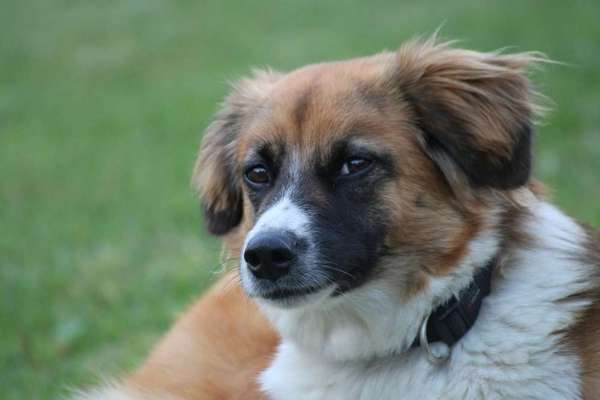 Immer lächeln !-Beitrag-Bild