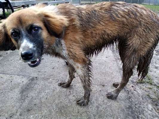 Foto Challenge - BEENDET - bitte aktuelle Challenge nutzen-Beitrag-Bild