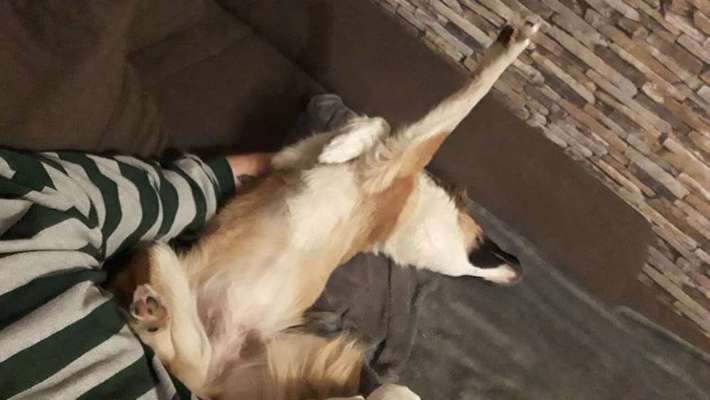 Die unbequemsten und lustigsten Schlafpositionen-Beitrag-Bild