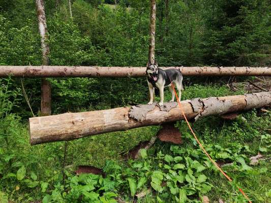 64. Handy Foto Challenge - Hoch hinaus-Beitrag-Bild