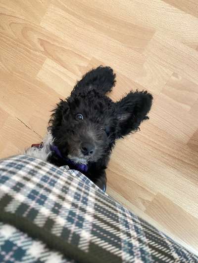 Her mit dem Grimassen-Beitrag-Bild