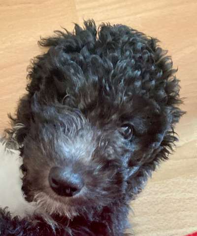 Fotochallange Nr. 57     PORTRÄT.   Beendet!!!!!!!!-Beitrag-Bild