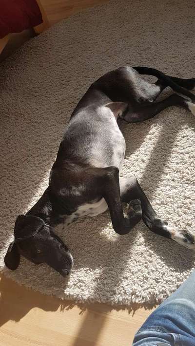 DNA test-Beitrag-Bild