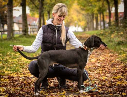 DNA test-Beitrag-Bild