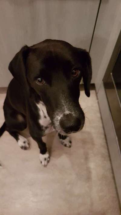 DNA test-Beitrag-Bild