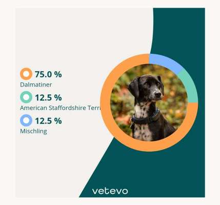 DNA test-Beitrag-Bild