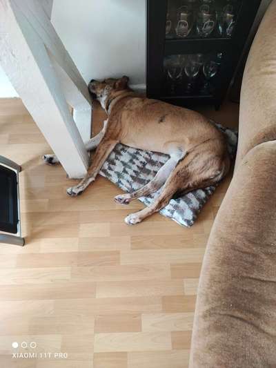 Lieblingsbild-Beitrag-Bild