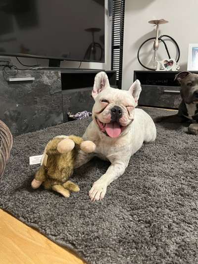 Handy-foto Challange nr. 11-Beitrag-Bild