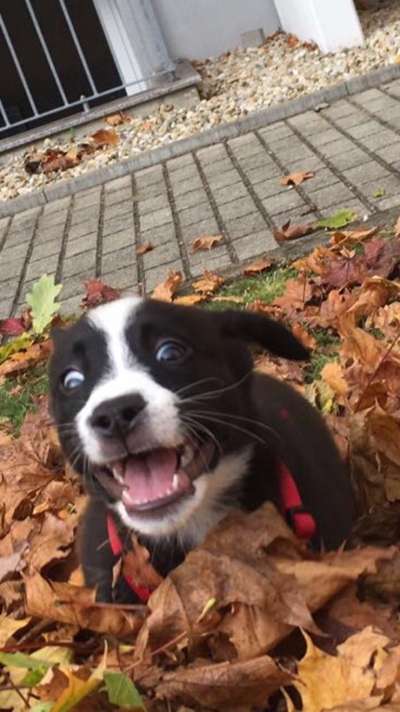 Handy-Foto Challange Nr. 10-Beitrag-Bild