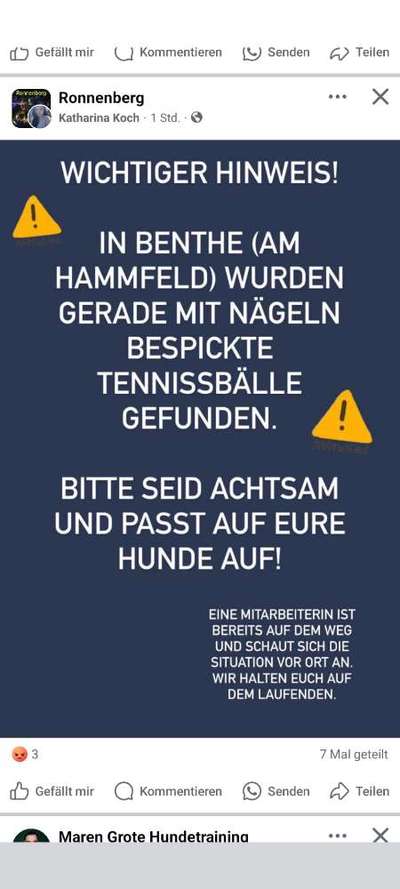 Giftköder-Mit Nägeln bespickte Tennisbälle-Bild