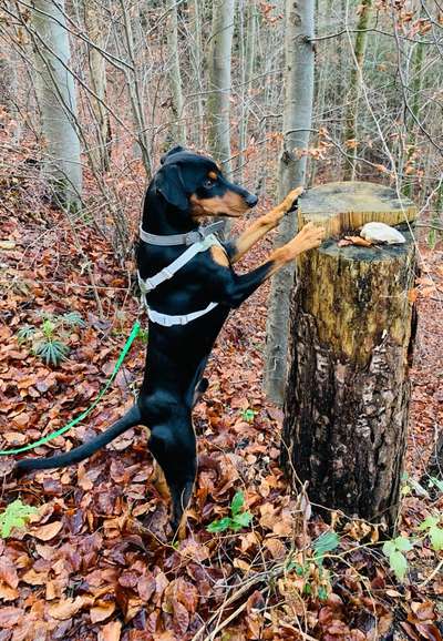 Foto Challenge Nr. 79-Beitrag-Bild